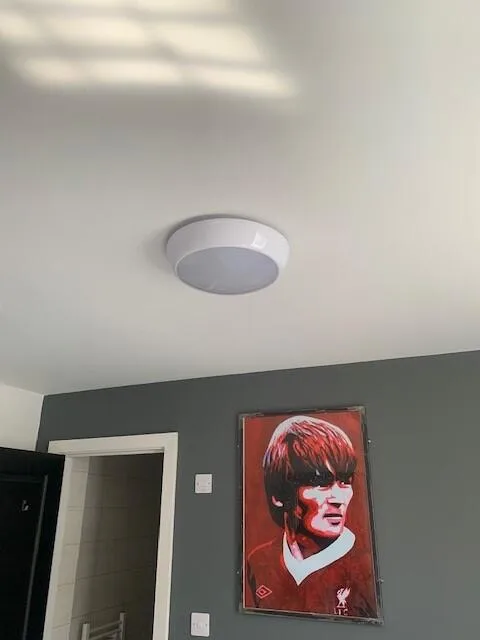 6 bedroom flat for rent