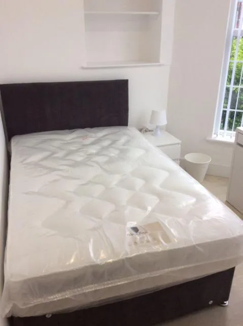 6 bedroom flat for rent