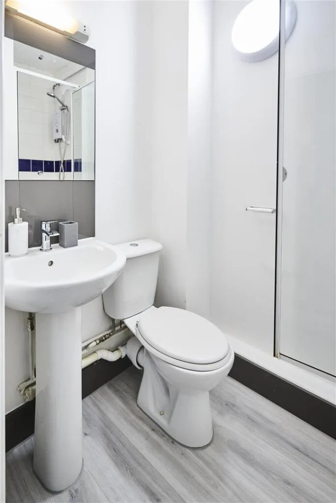 1 bedroom flat share for rent