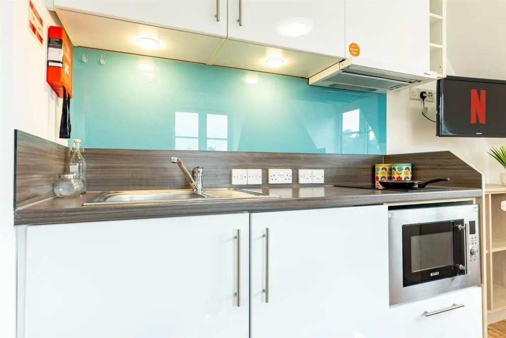 Studio flat for rent