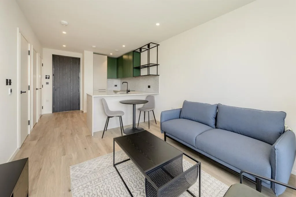 1 bedroom apartment for rent