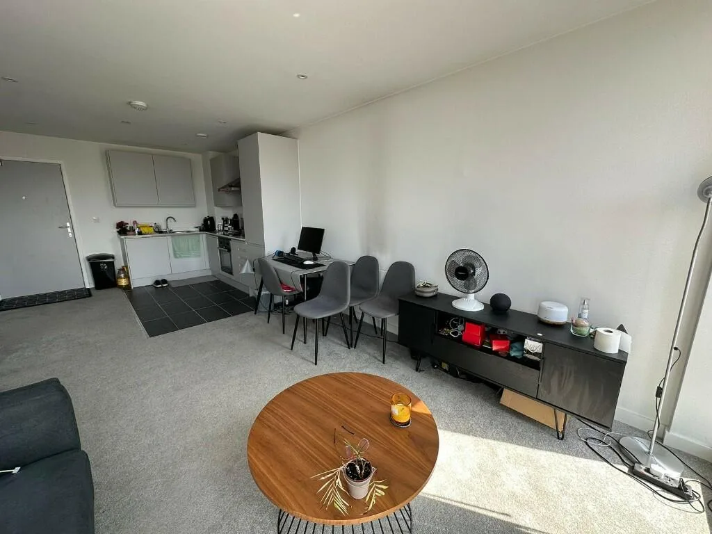 1 bedroom apartment for rent