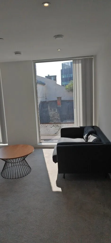 1 bedroom apartment for rent