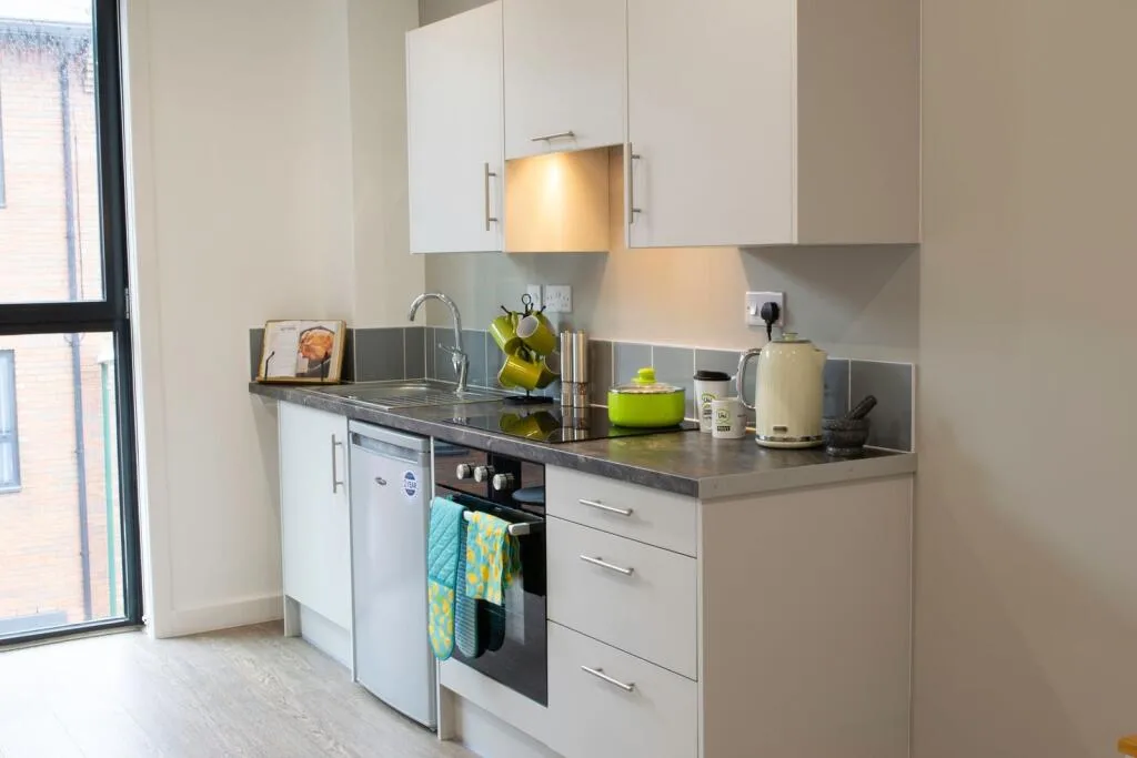 1 bedroom flat for rent
