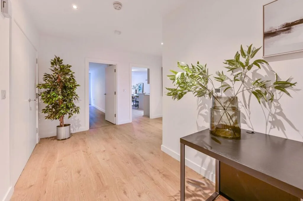 2 bedroom flat for rent