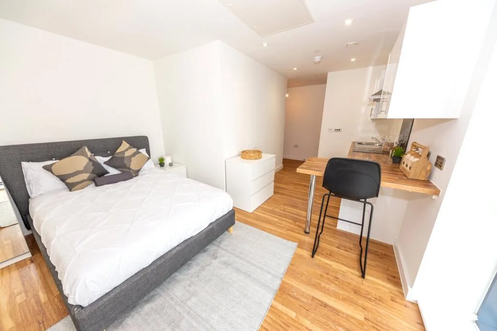 Studio flat for rent