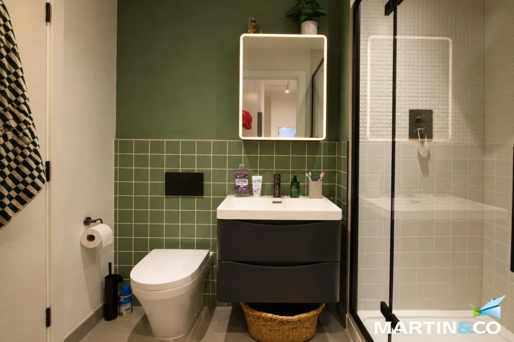 1 bedroom apartment for rent