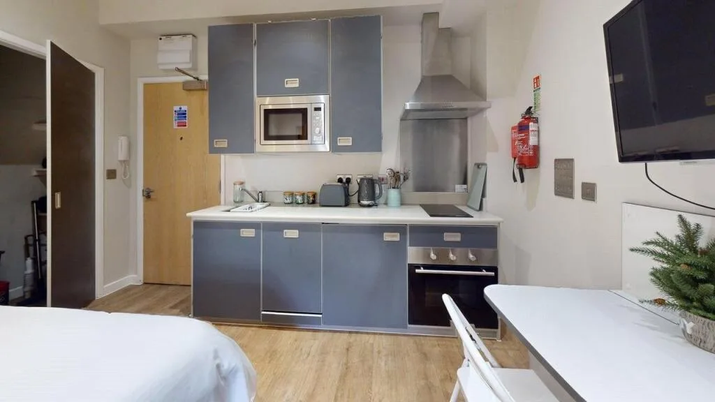 Studio flat for rent
