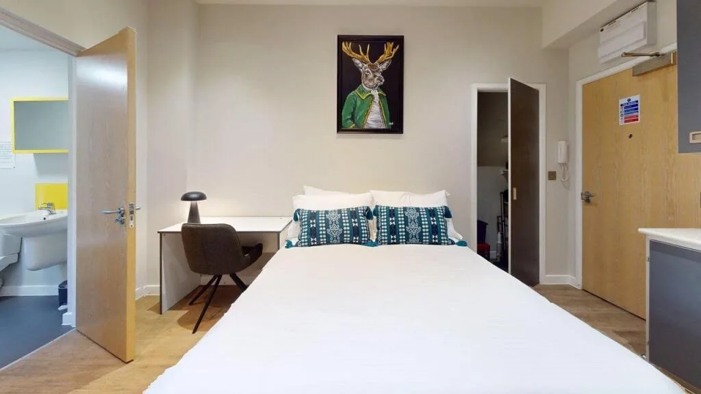 Studio flat for rent