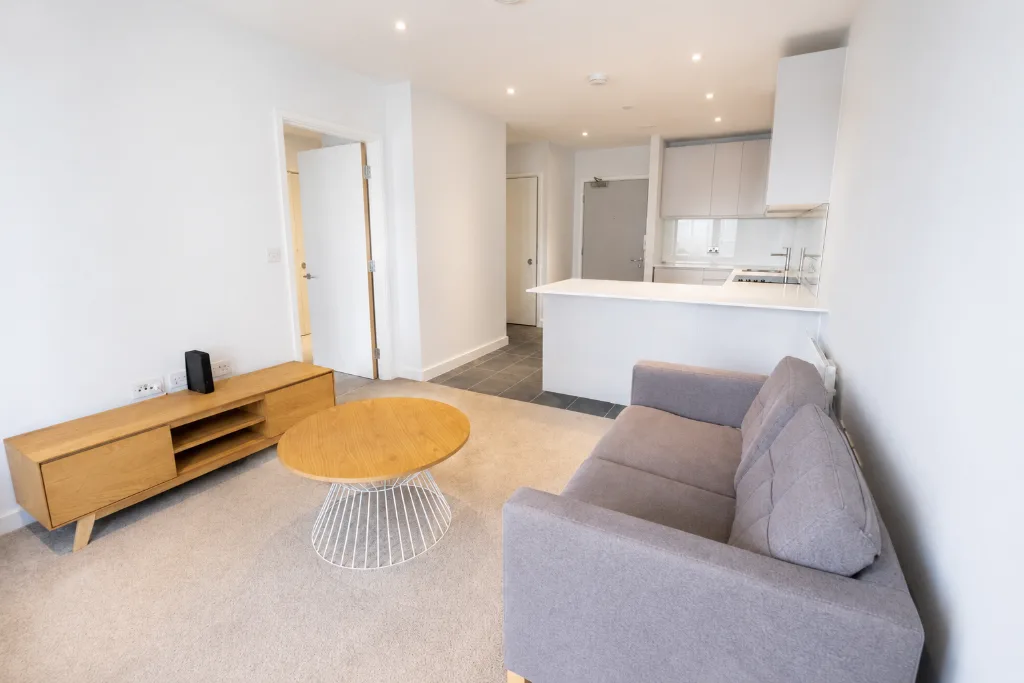 1 bedroom flat for rent