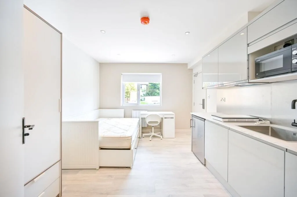 Studio flat for rent