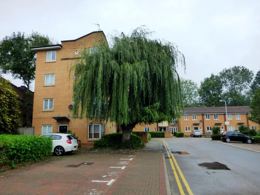 1 bedroom ground floor flat for rent