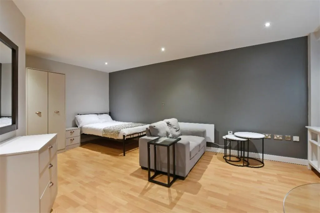 Studio flat for rent