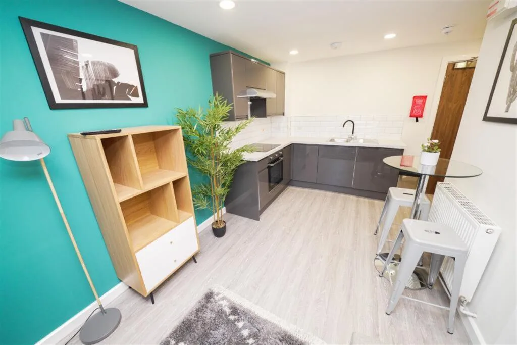 Studio flat for rent