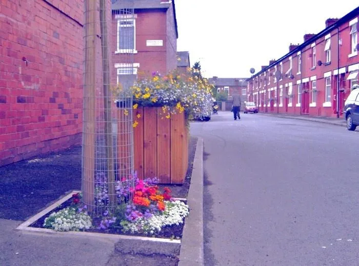 2 bedroom house for rent