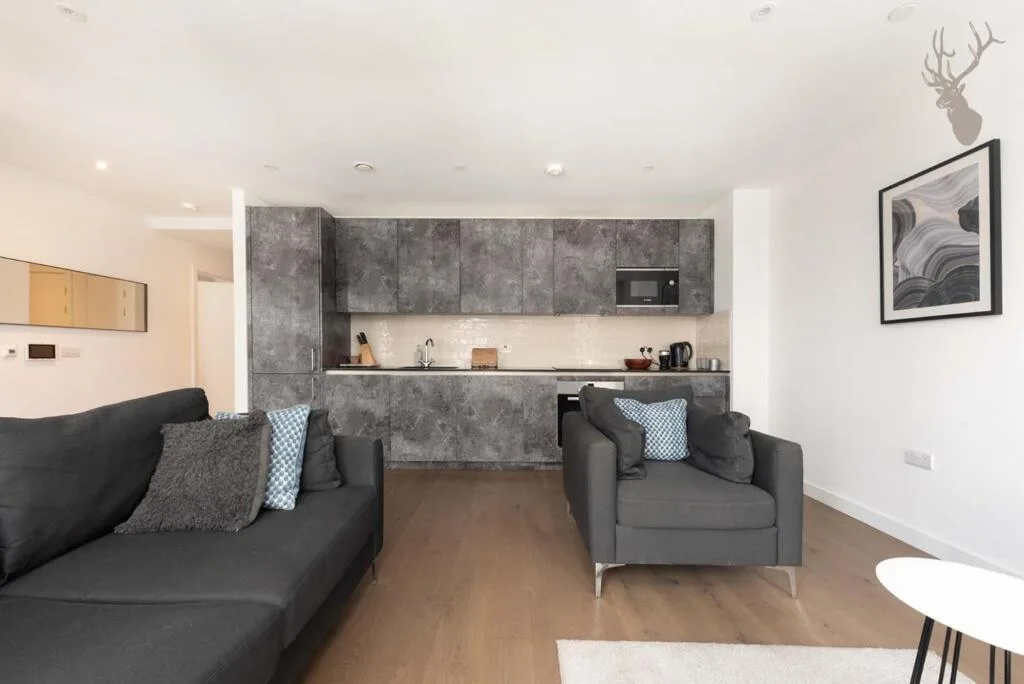 1 bedroom apartment for rent