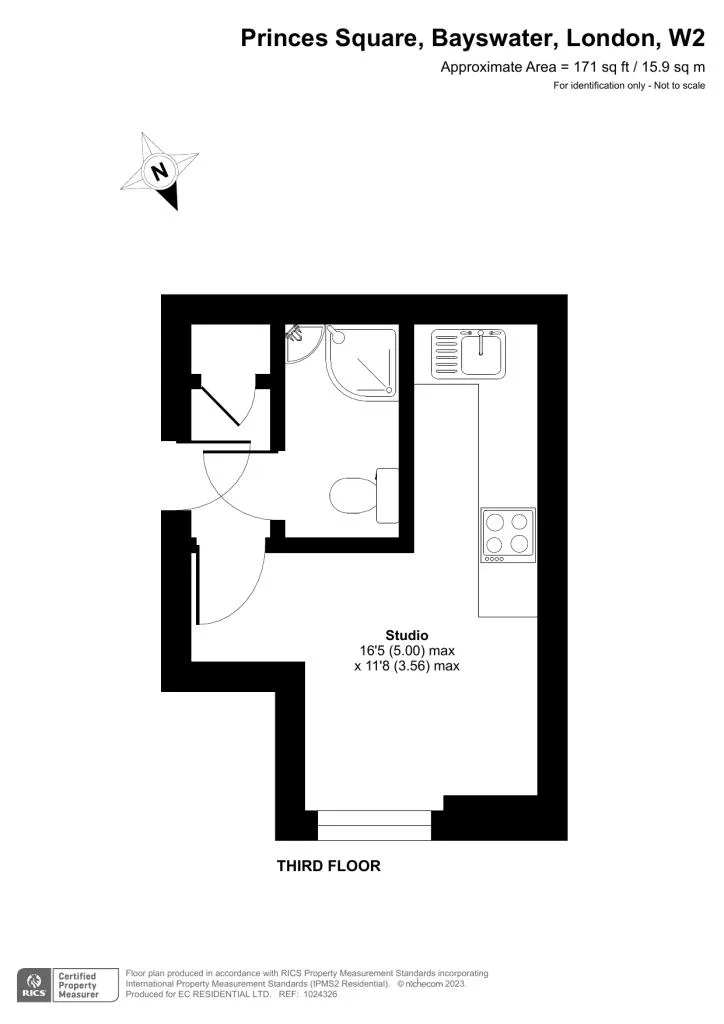 Studio flat for rent