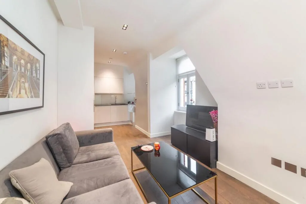 1 bedroom apartment for rent