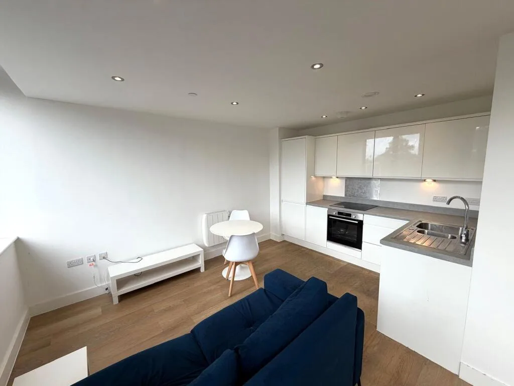 1 bedroom apartment for rent