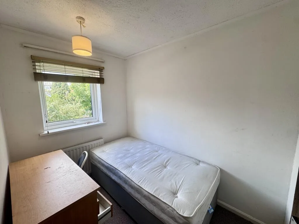 2 bedroom house for rent
