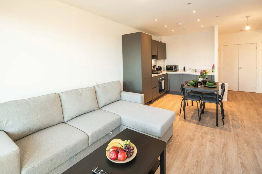 1 bedroom apartment for rent