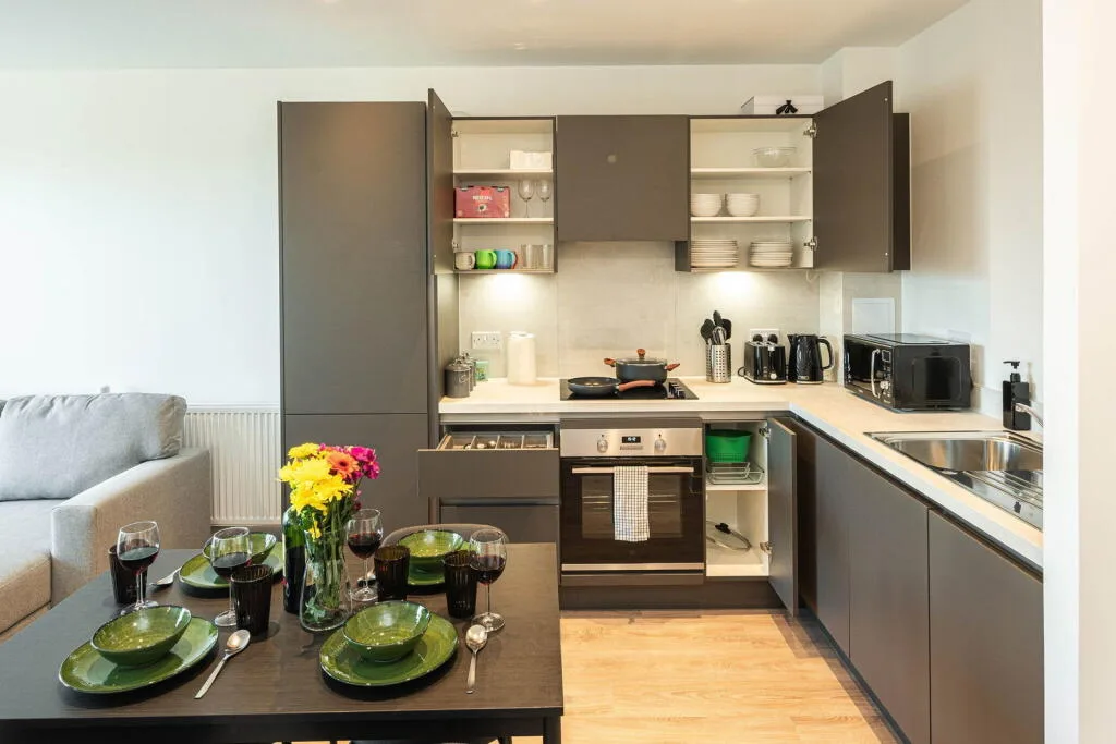1 bedroom apartment for rent