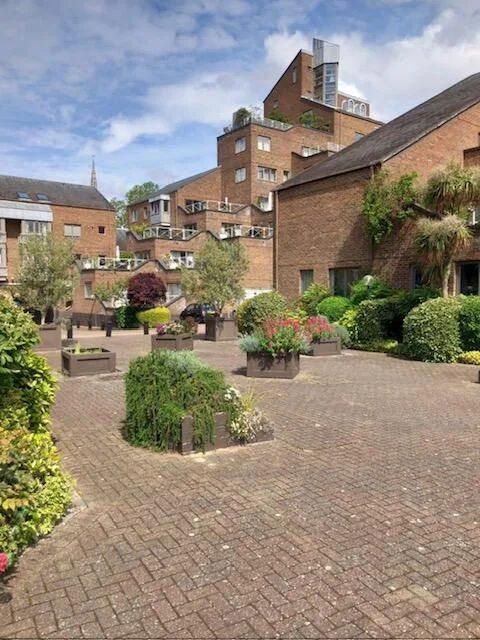 3 bedroom apartment for rent