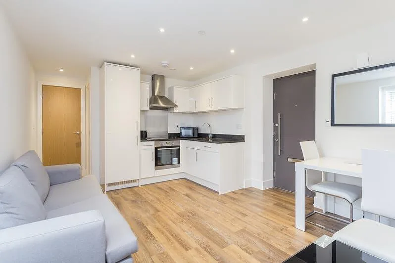 1 bedroom apartment for rent