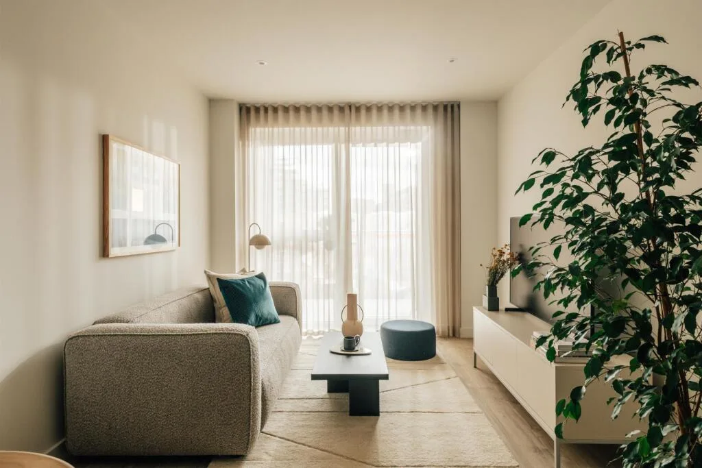1 bedroom apartment for rent