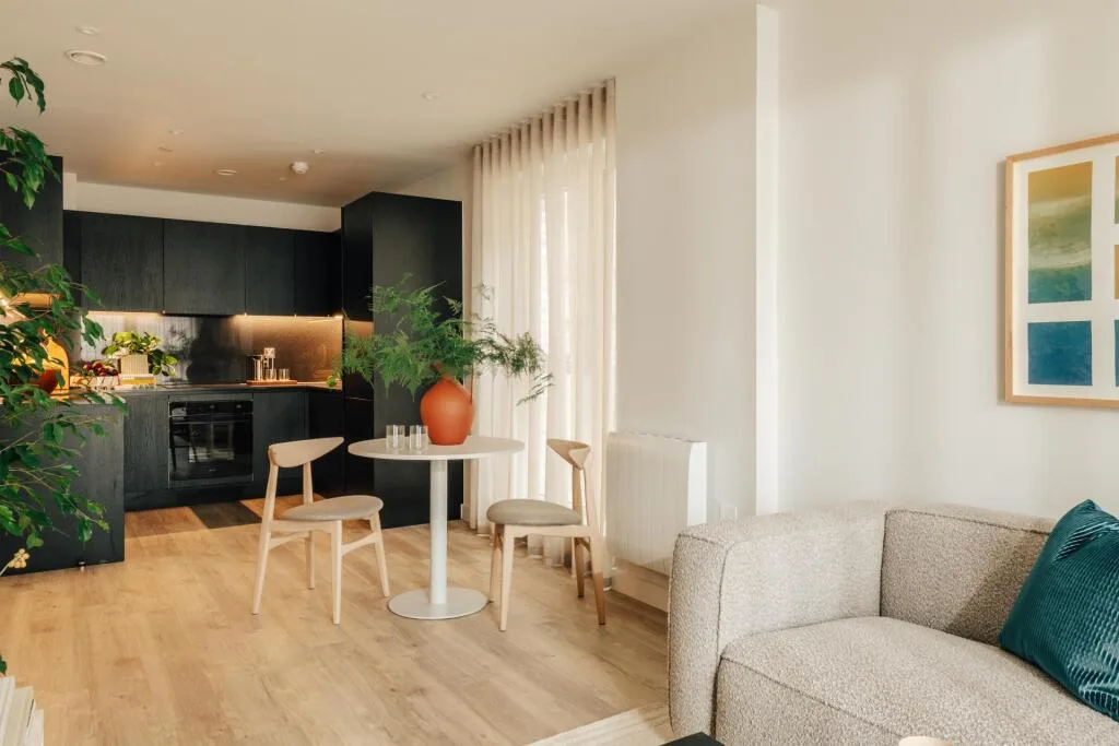 1 bedroom apartment for rent