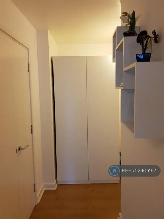 1 bedroom flat share for rent