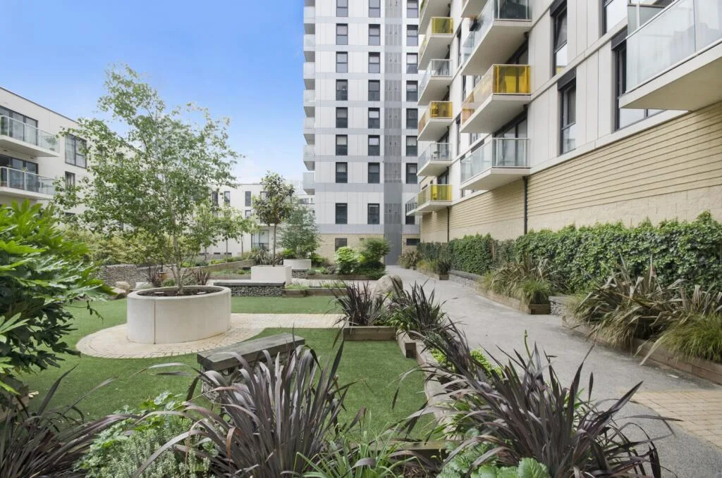 2 bedroom flat for rent