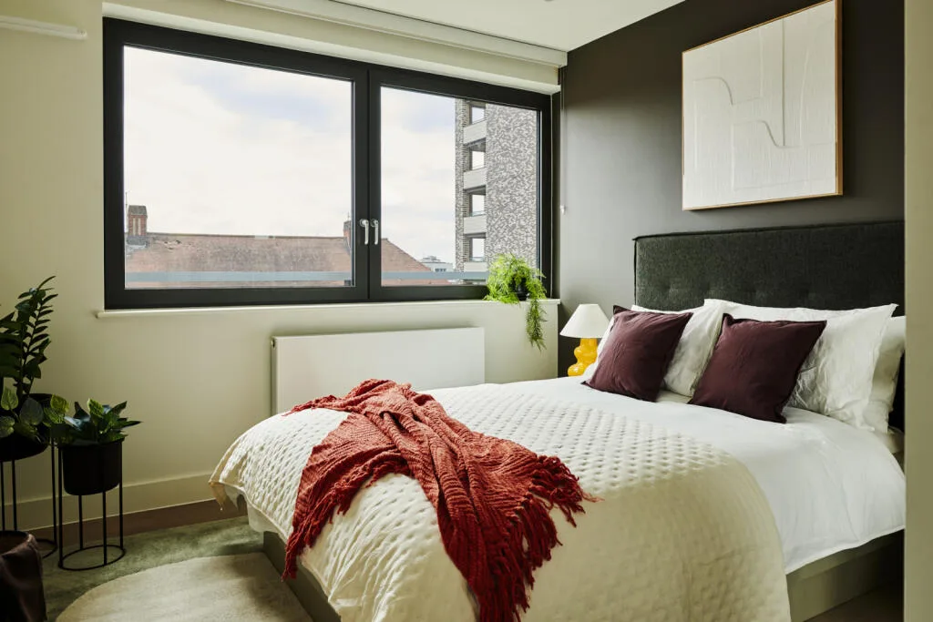 3 bedroom apartment for rent
