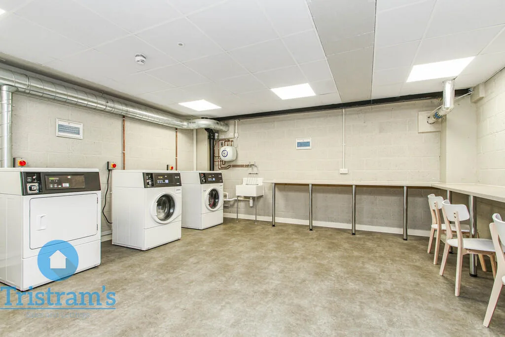 5 bedroom apartment for rent