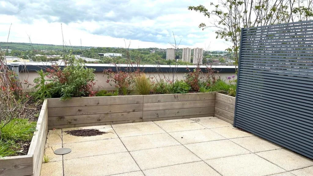 3 bedroom penthouse for rent