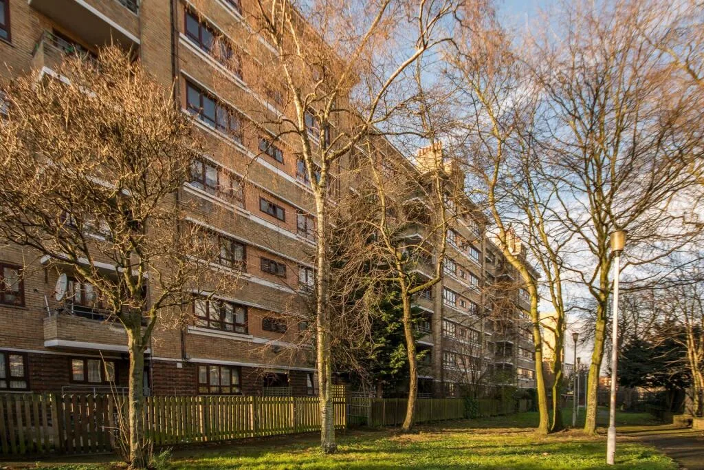 3 bedroom flat for rent