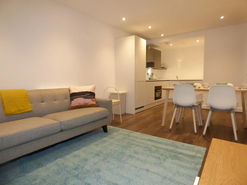 1 bedroom apartment for rent