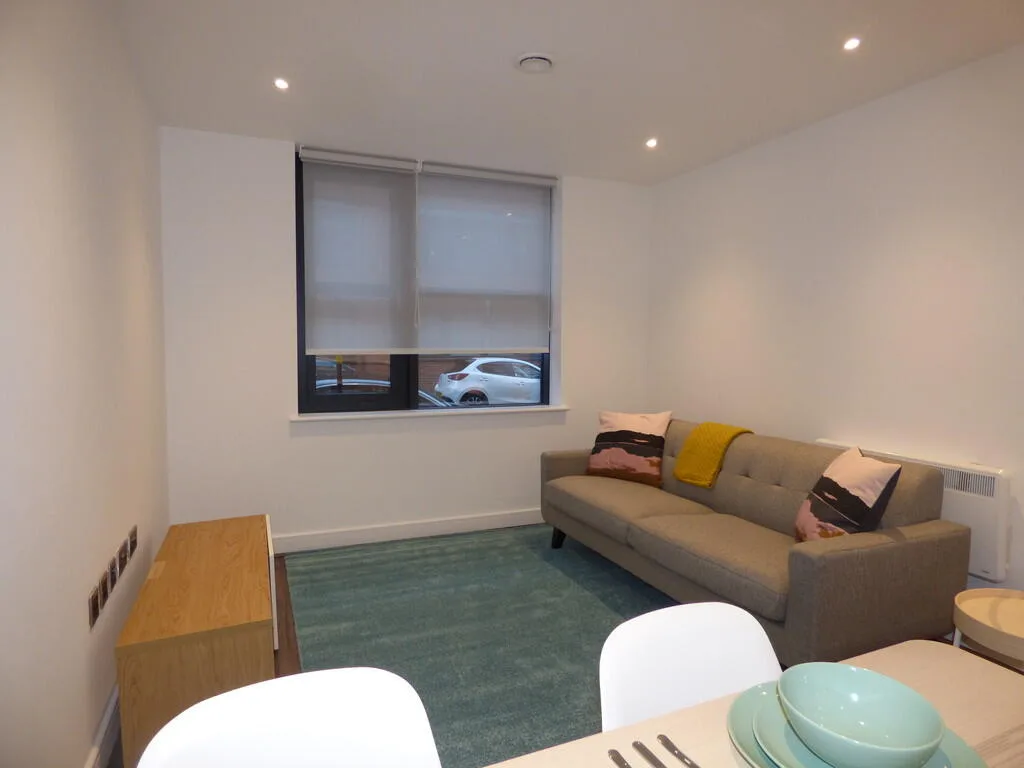1 bedroom apartment for rent