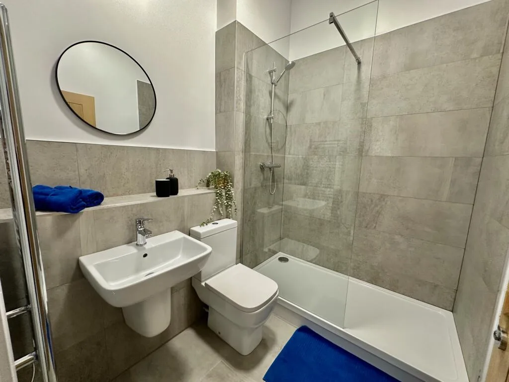 1 bedroom apartment for rent
