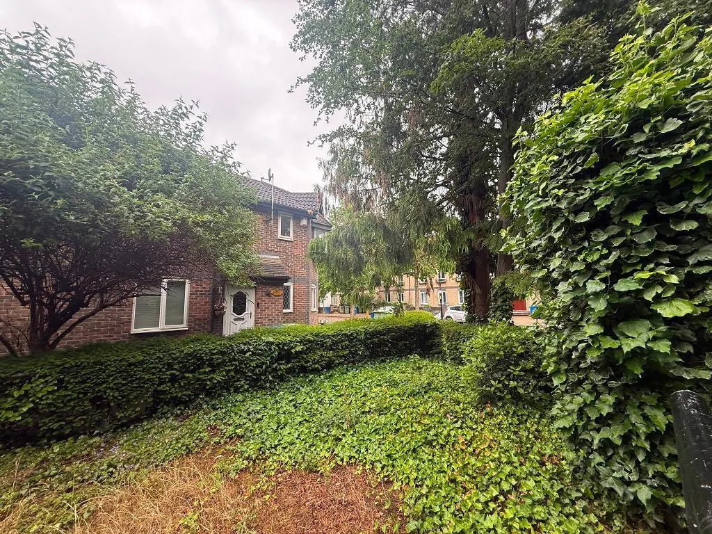 3 bedroom house for rent