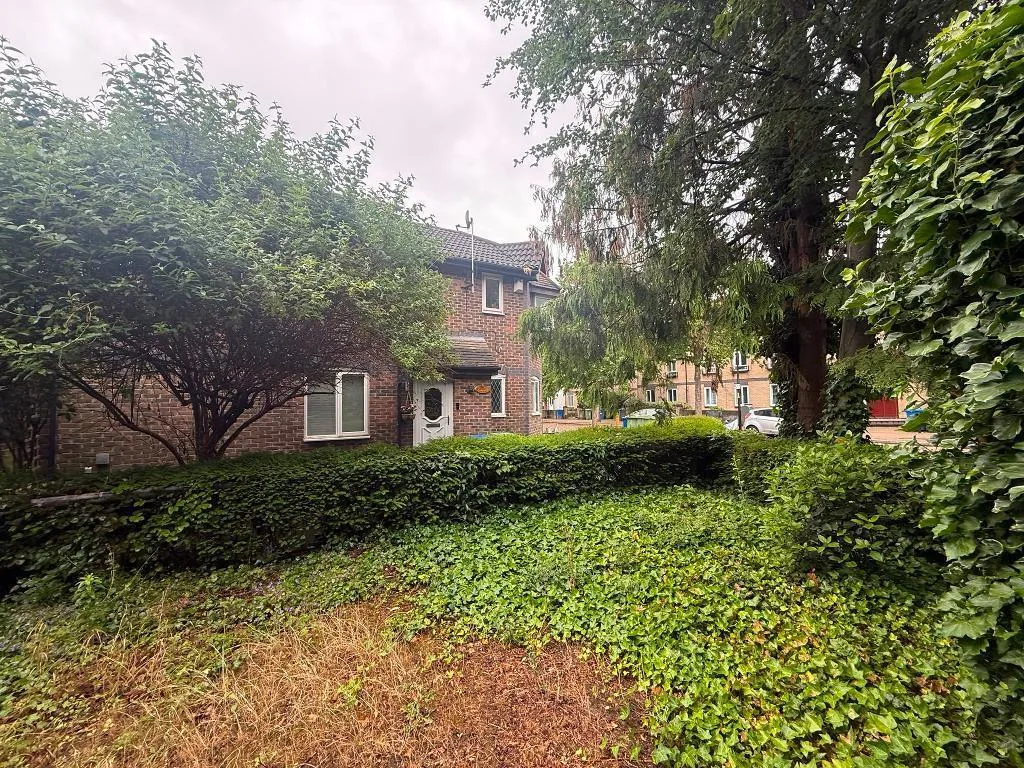 3 bedroom house for rent