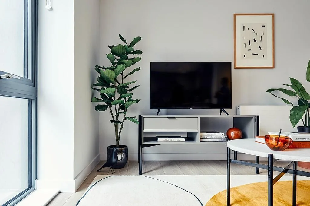 Studio flat for rent