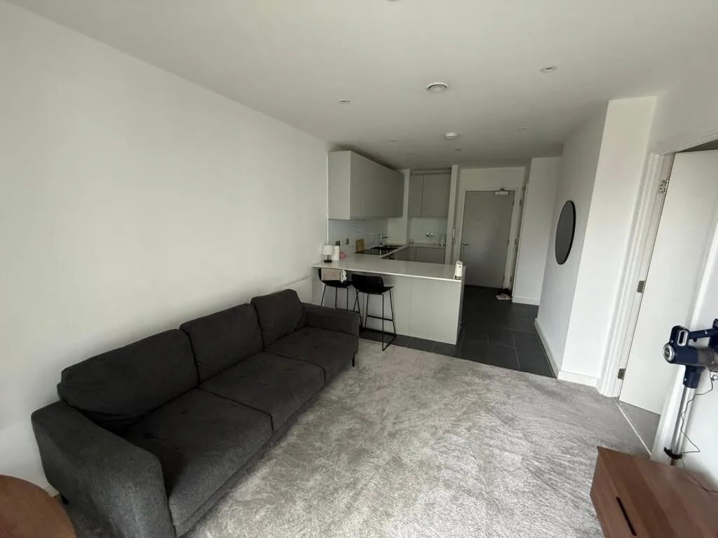 1 bedroom apartment for rent