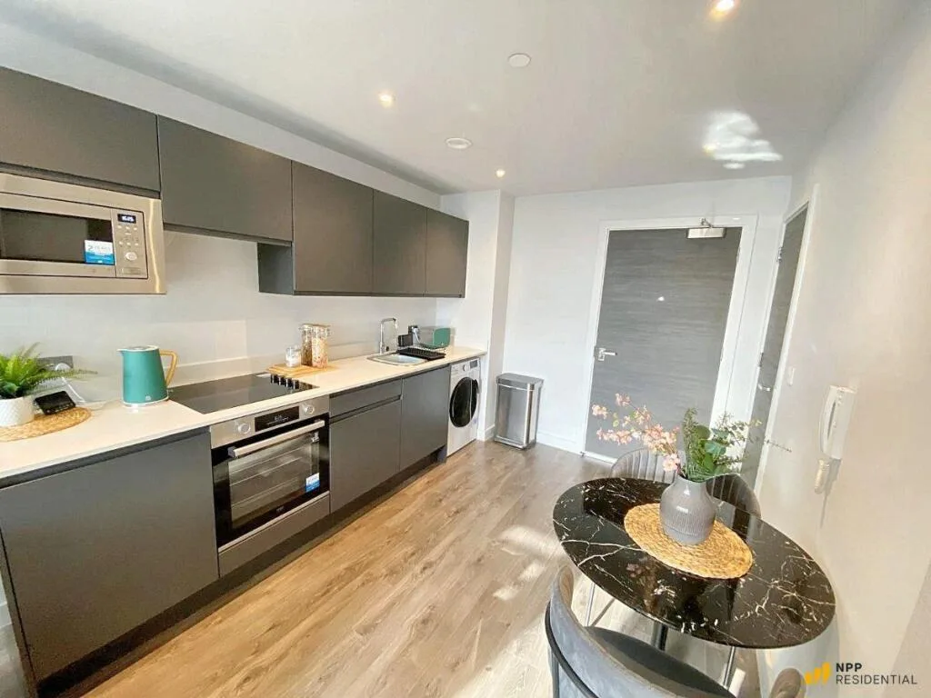 1 bedroom apartment for rent