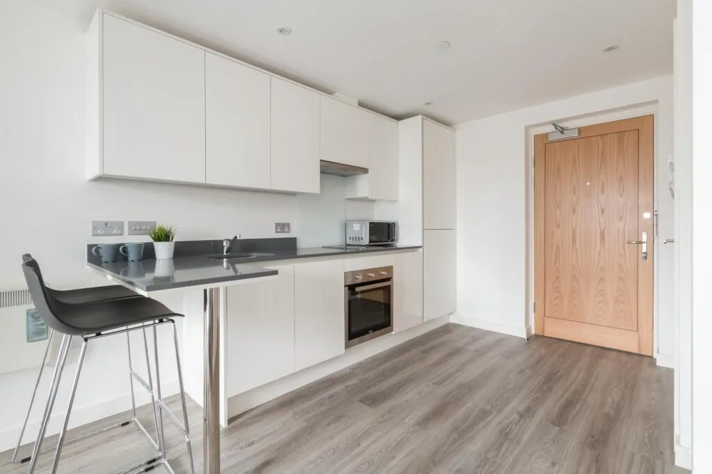 1 bedroom apartment for rent