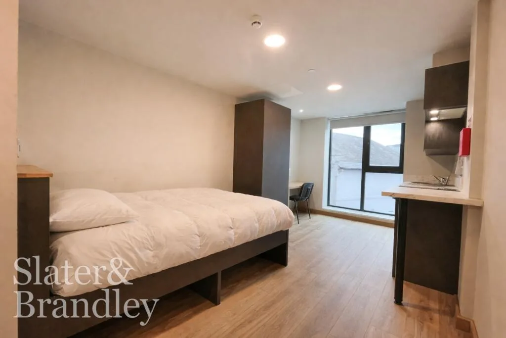 Studio flat for rent