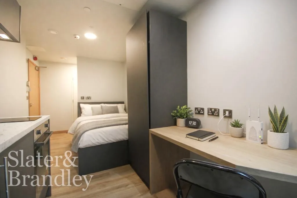Studio flat for rent