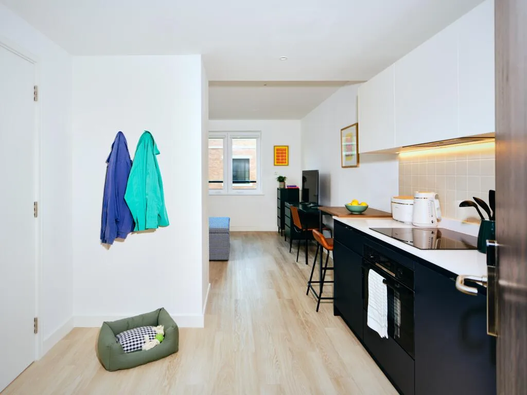 Studio flat for rent