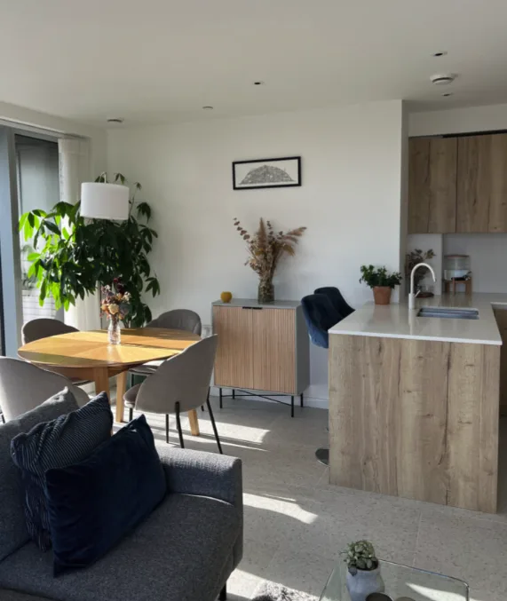 1 bedroom apartment for rent