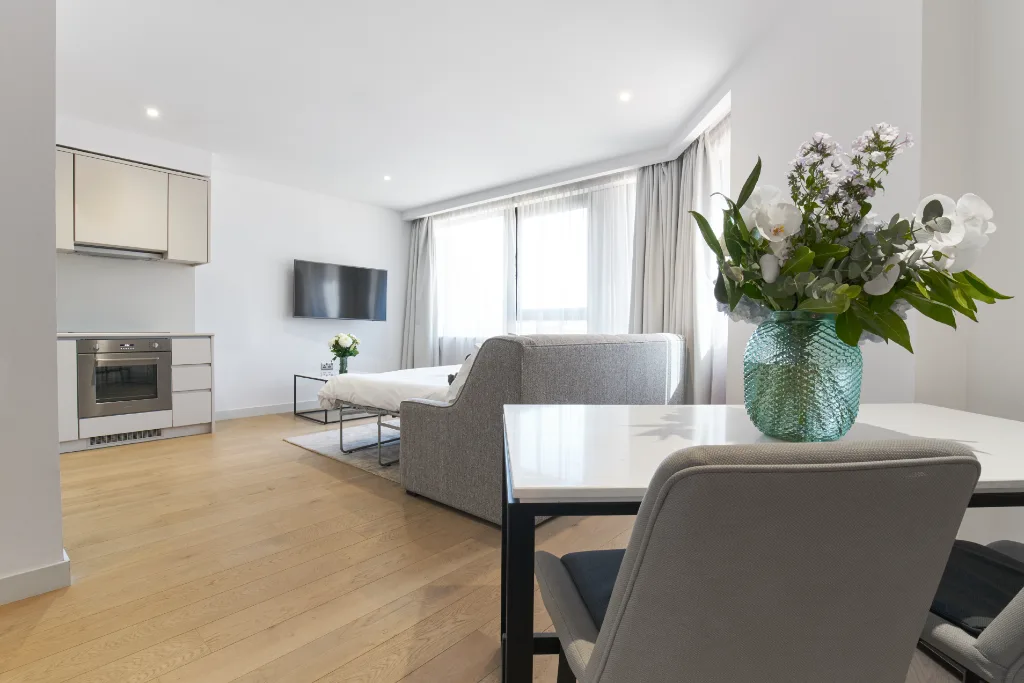 1 bedroom apartment for rent